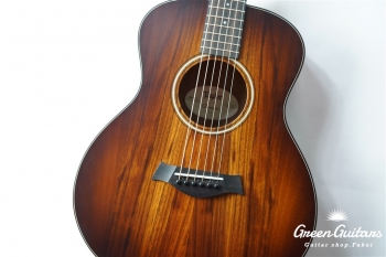 GS Mini-e KOA Plus